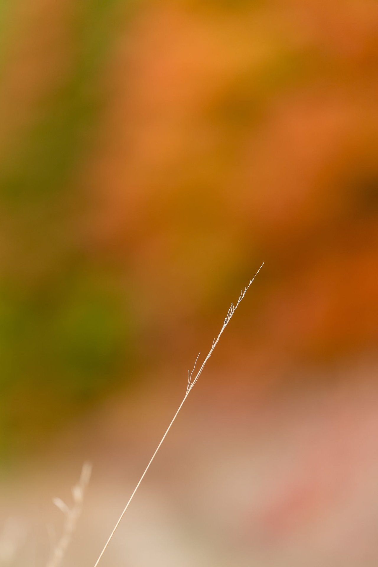 024A7053.jpg